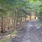 La Dimora Del Castagno Prázdninový dům Ormea