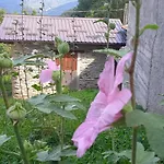 La Dimora Del Castagno Ormea