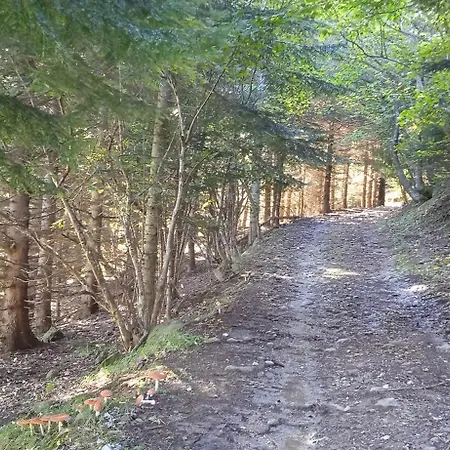 La Dimora Del Castagno 別荘 Ormea