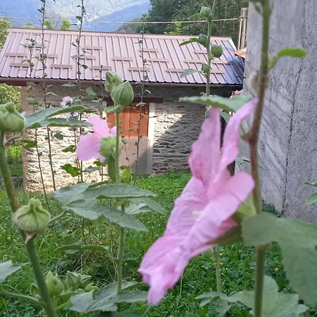La Dimora Del Castagno Ormea