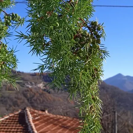 La Dimora Del Castagno 別荘